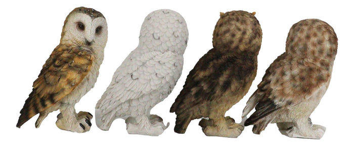 Ebros Gift Realistic Colorful Nocturnal Snowy Barn Great Horned Owl Birds Figurine Set Of 4