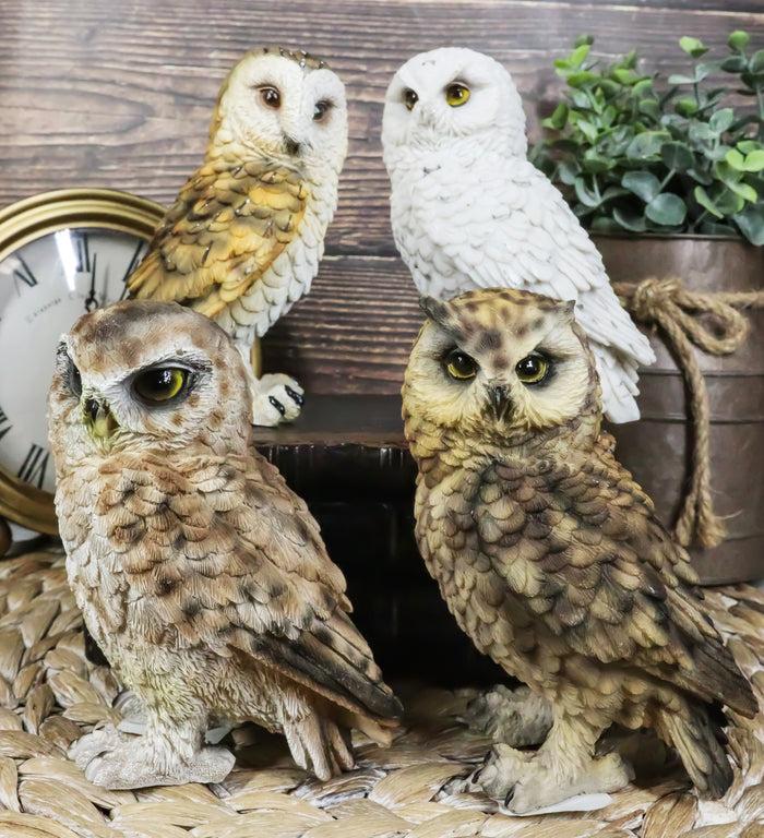 ebros gift Realistic Colorful Nocturnal Snowy Barn Great Horned Owl Birds Figurine Set of 4