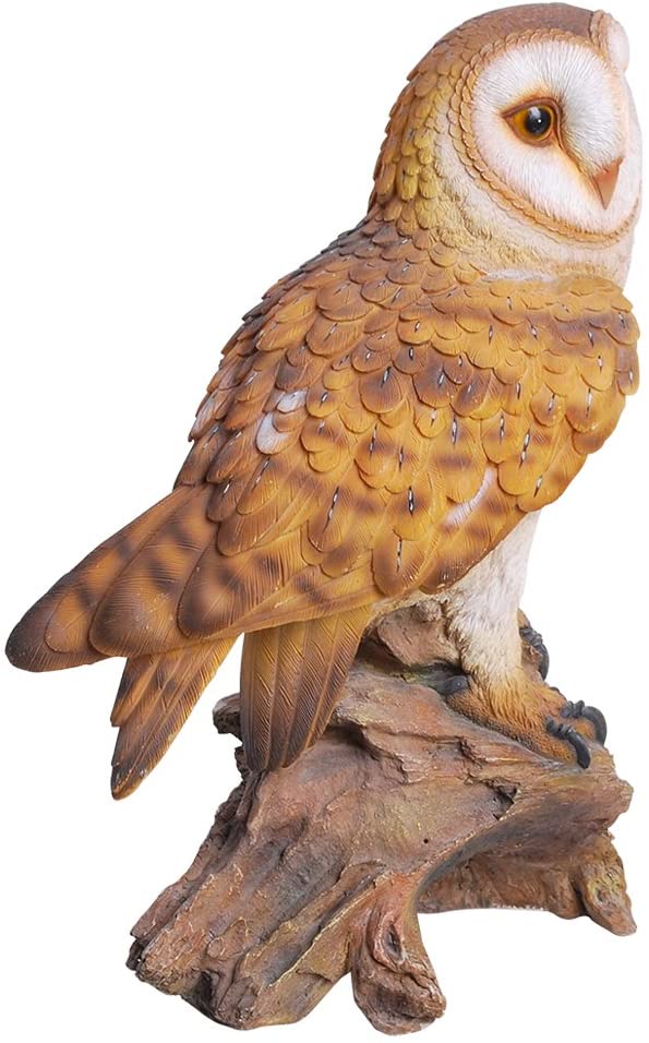 Ebros Gift Realistic Common Barn Owl Perching On Tree Stump Statue With Glass Eyes 13.75"H
