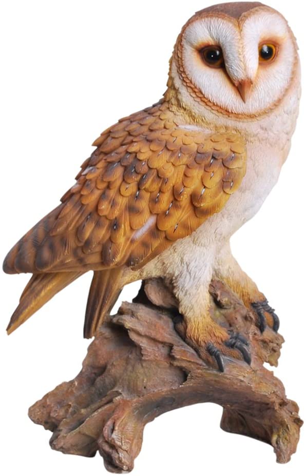 ebros gift Realistic Common Barn Owl Perching On Tree Stump Statue With Glass Eyes 13.75"H