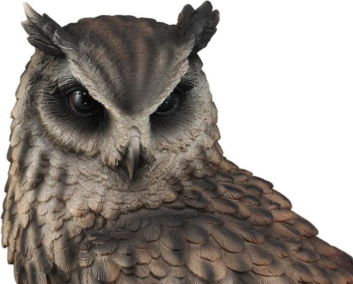 Ebros Gift Realistic Nature Wildlife Eurasian Eagle Owl Perching On Tree Statue 14.25"Tall
