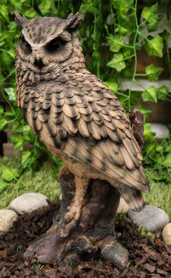 ebros gift Realistic Nature Wildlife Eurasian Eagle Owl Perching On Tree Statue 14.25"Tall