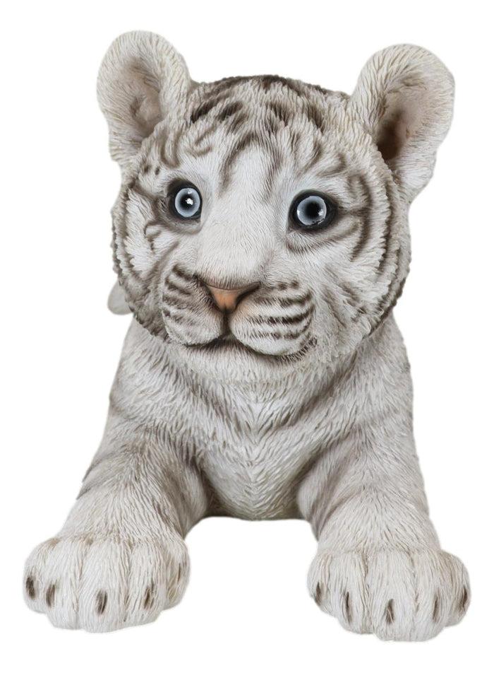 Ebros Gift Realistic White Alaskan Siberian Tiger Cub Crouching Decorative Statue 12"L