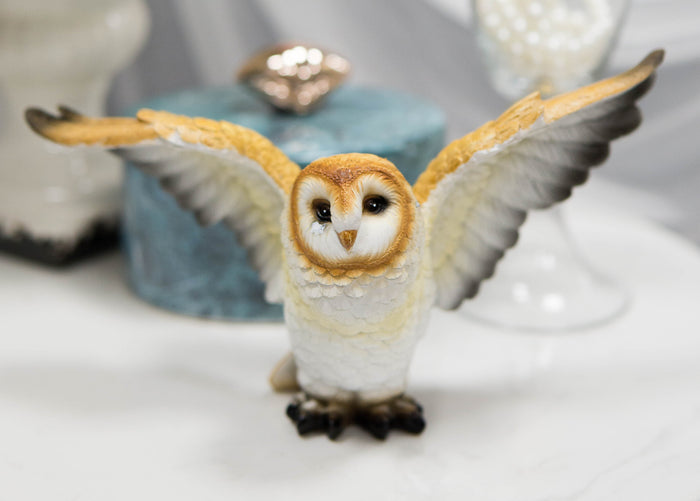 ebros gift Realistic Woodlands Wildlife Common Barn Owl Bird Spreading Its Wings Statue 8"W
