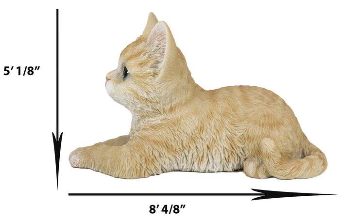 Ebros Gift Resting Feline Orange Tabby Cat Kitten Figurine With Realistic Glass Eyes Decor