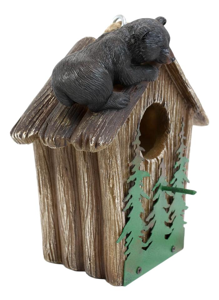 Ebros Gift Rustic Black Bear Cub Climbing Pine Trees Birdhouse Roof Hanging Bird Feeder