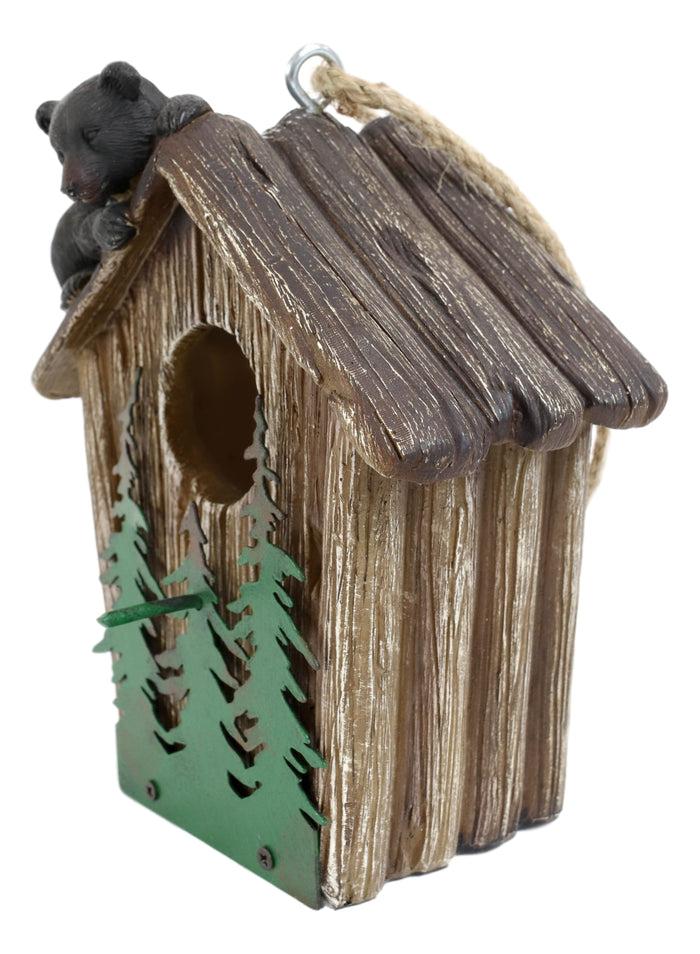 Ebros Gift Rustic Black Bear Cub Climbing Pine Trees Birdhouse Roof Hanging Bird Feeder