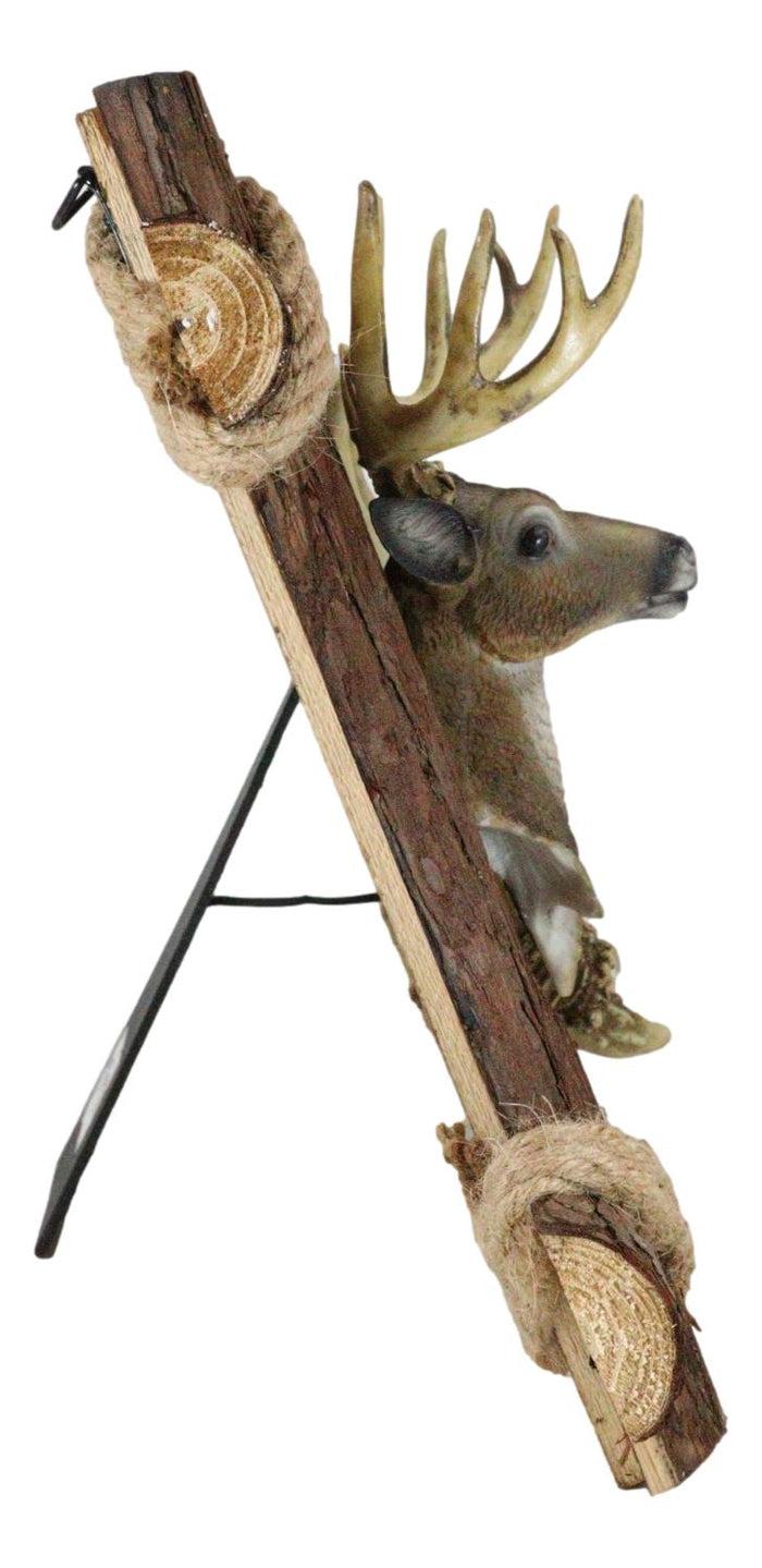 Ebros Gift Rustic Buckhorn Stag Deer Trophy Bust And Antlers With Wooden Logs Picture Frame