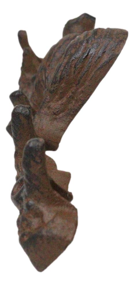 Ebros Gift Rustic Cast Iron Playful Squirrel Perching On Tree Branch 4-Peg Wall Hooks Decor