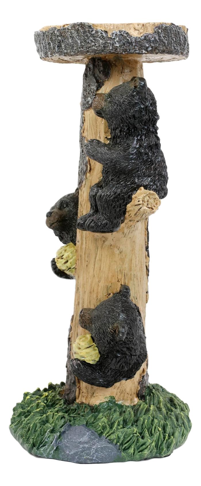 Ebros Gift Rustic Climbing Bear Cubs With Honeycomb Bee Hives Pillar Candle Holder Stand