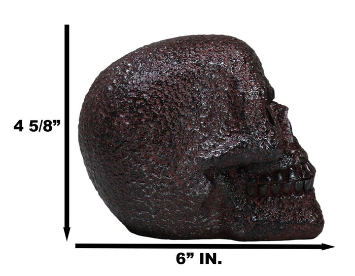 Ebros Gift Rustic Corroded Dark Bronze Metallic Finish Skull Resin Figurine Macabre Gothic