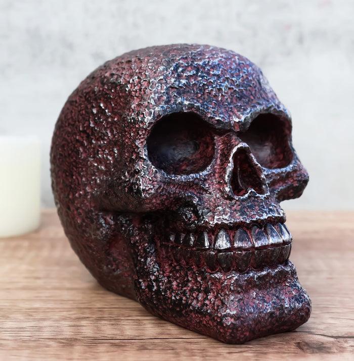 ebros gift Rustic Corroded Dark Bronze Metallic Finish Skull Resin Figurine Macabre Gothic