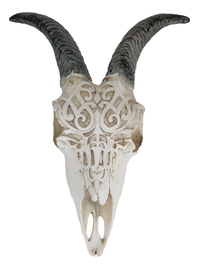 Ebros Gift Rustic Tooled Filigree Bighorn Sheep Young Ram Skull LED Light Wall Decor Plaque