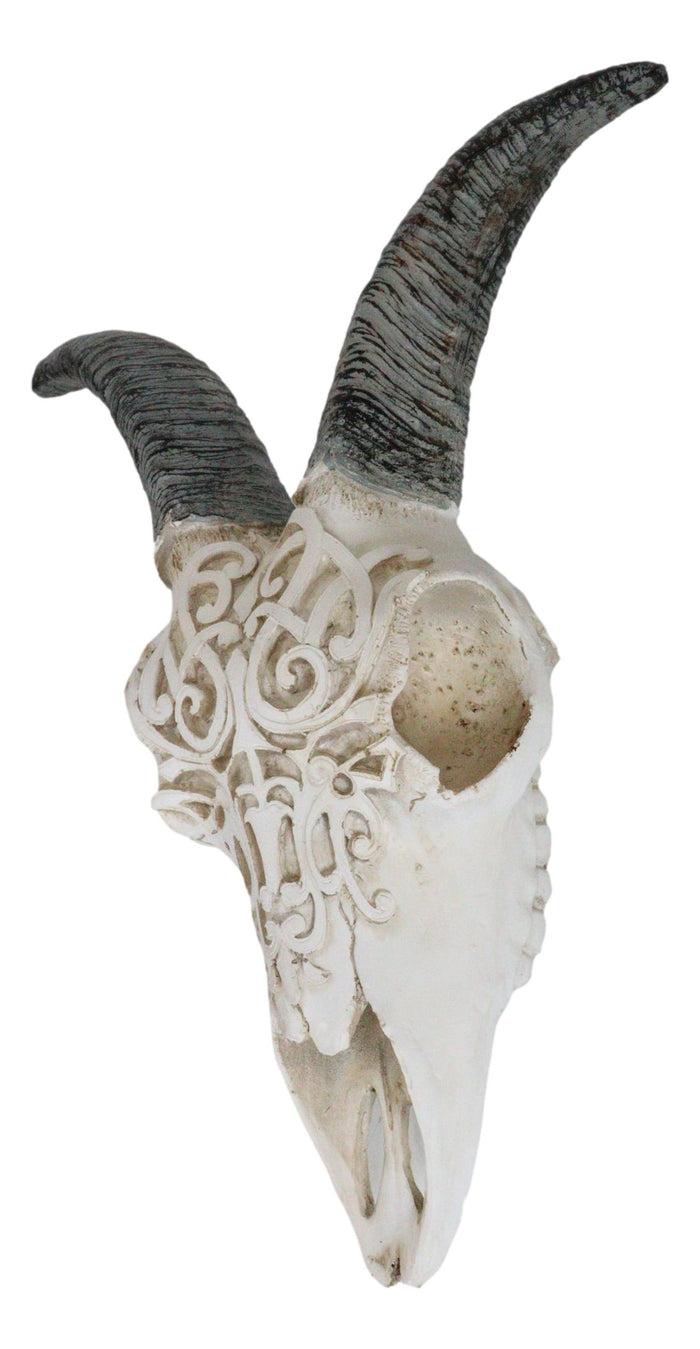 Ebros Gift Rustic Tooled Filigree Bighorn Sheep Young Ram Skull LED Light Wall Decor Plaque