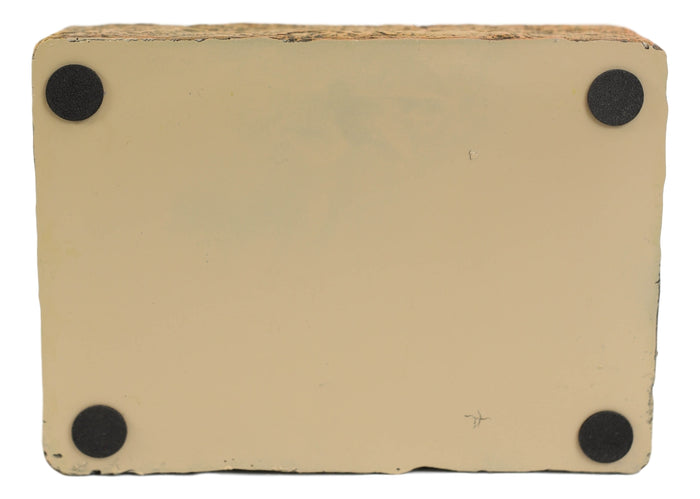 Ebros Gift Rustic Western Black Bear By Pine Trees Forest Silhouette Bar Soap Dish Holder