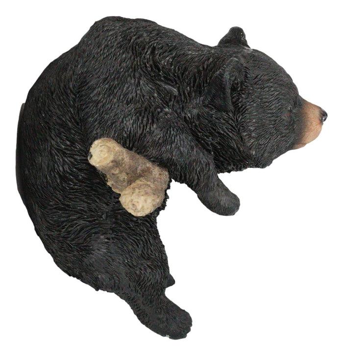 Ebros Gift Rustic Western Forest Black Bear Cub Frolic Dangling On Tree Branch Wall Decor