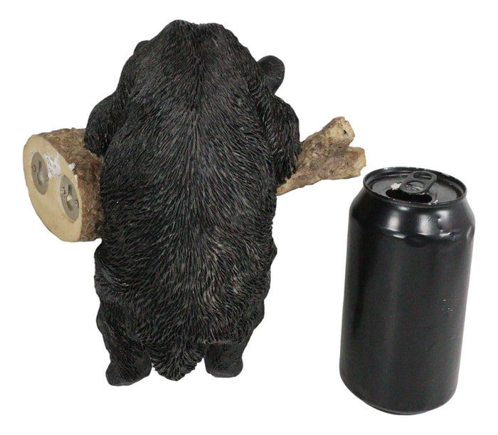 Ebros Gift Rustic Western Forest Black Bear Cub Frolic Dangling On Tree Branch Wall Decor