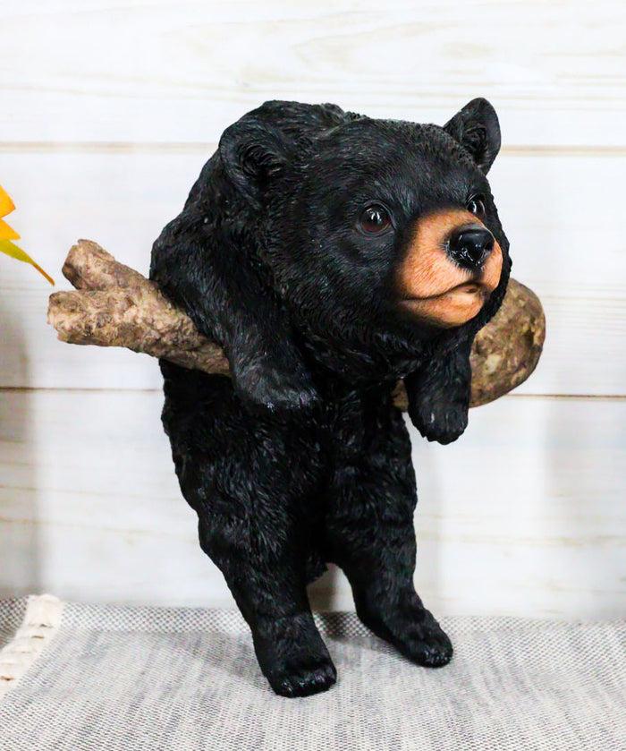 ebros gift Rustic Western Forest Black Bear Cub Frolic Dangling On Tree Branch Wall Decor