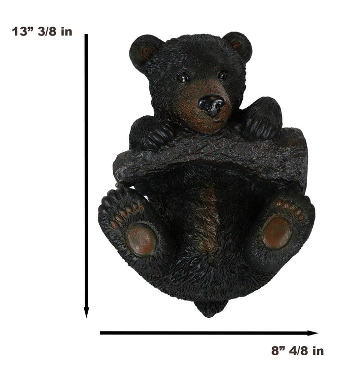Ebros Gift Rustic Western Forest Black Bear Cub Hanging On Branch Wall Or Tree Bark Decor