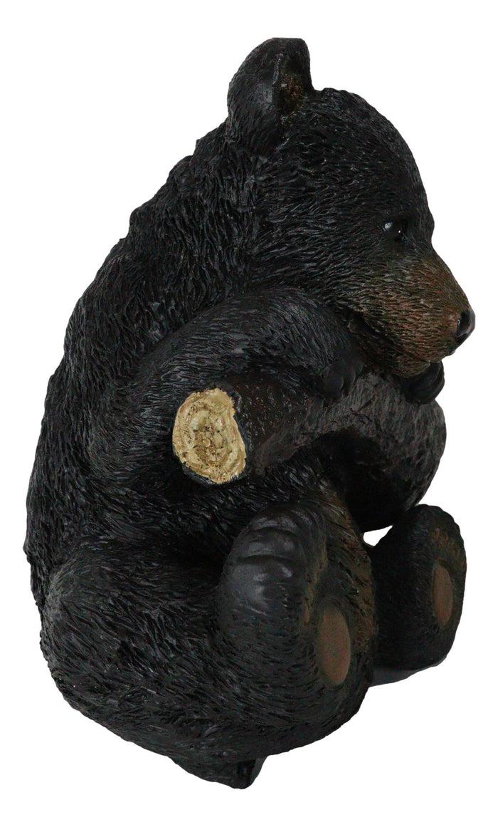 Ebros Gift Rustic Western Forest Black Bear Cub Hanging On Branch Wall Or Tree Bark Decor