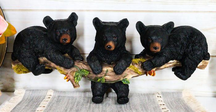 ebros gift Rustic Western Forest Black Bear Cubs Frolic Dangling On Tree Branch Wall Decor