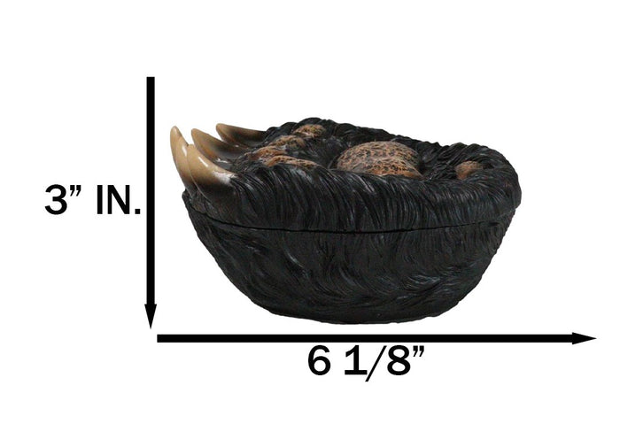 Ebros Gift Rustic Western Forest Black Bear Long Claws Paw Decorative Trinket Jewelry Box