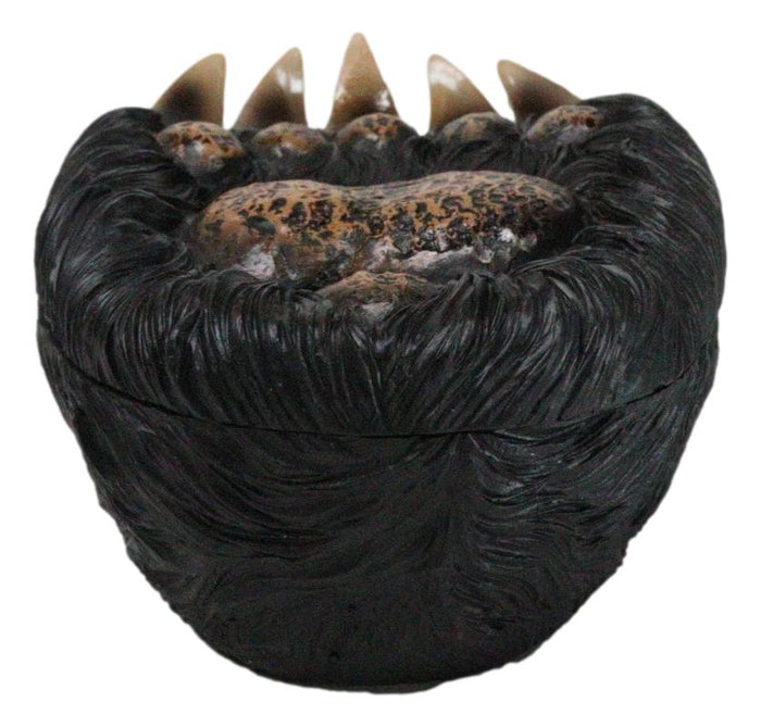 Ebros Gift Rustic Western Forest Black Bear Long Claws Paw Decorative Trinket Jewelry Box