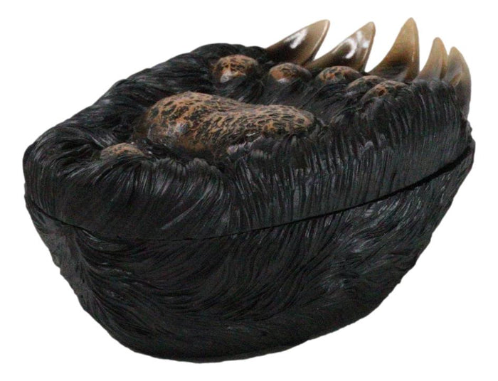 Ebros Gift Rustic Western Forest Black Bear Long Claws Paw Decorative Trinket Jewelry Box