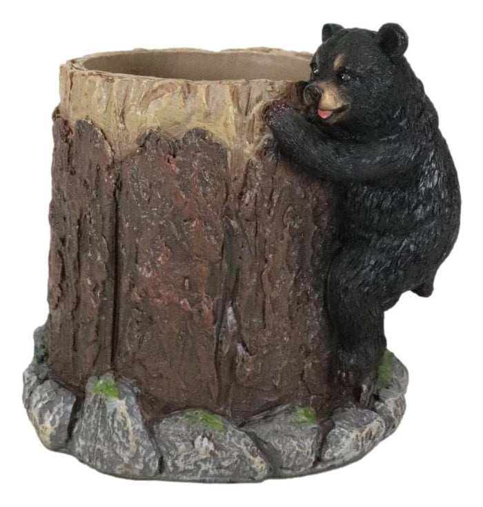 Ebros Gift Rustic Western Forest Naughty Black Bear Cub Climbing Tree Stationery Pen Holder