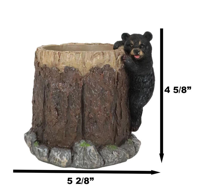 Ebros Gift Rustic Western Forest Naughty Black Bear Cub Climbing Tree Stationery Pen Holder