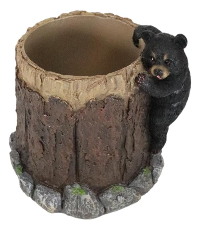 Ebros Gift Rustic Western Forest Naughty Black Bear Cub Climbing Tree Stationery Pen Holder