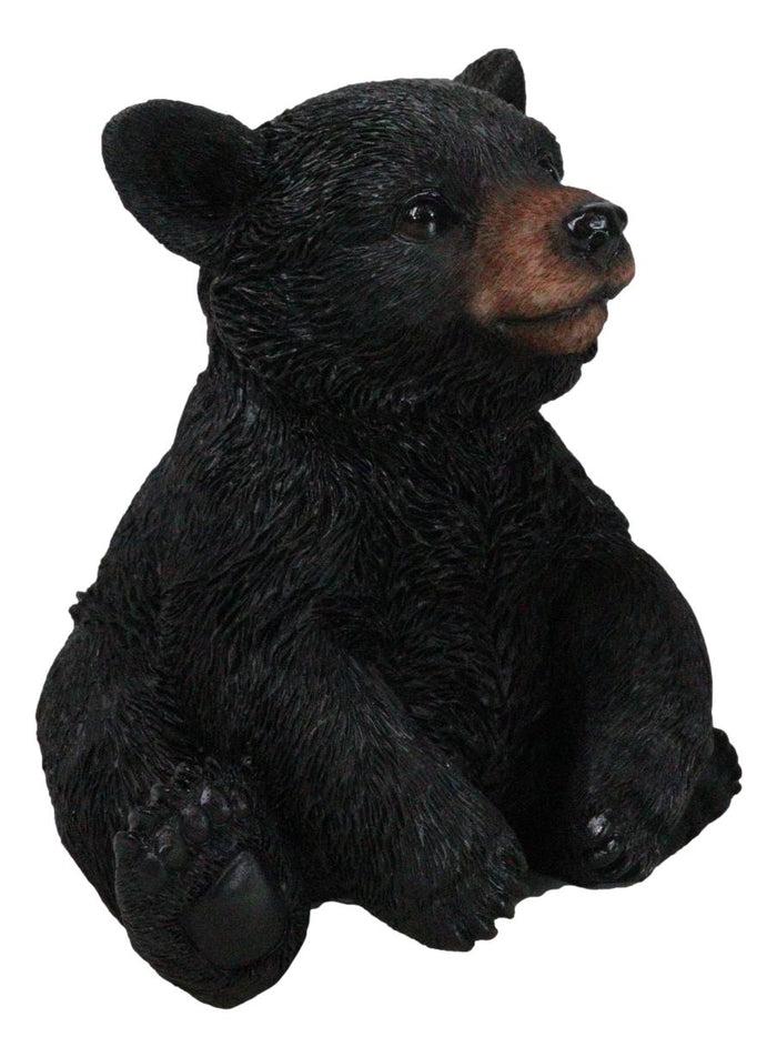 Ebros Gift Rustic Western Forest Wonders Sitting Baby Black Bear Cub Whimsical Figurine