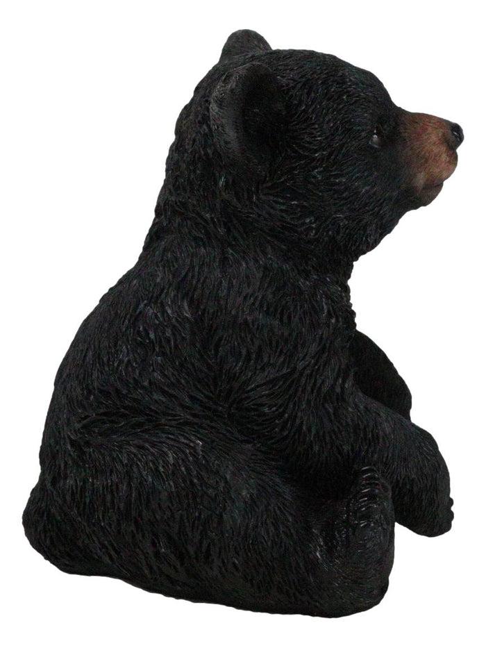 Ebros Gift Rustic Western Forest Wonders Sitting Baby Black Bear Cub Whimsical Figurine