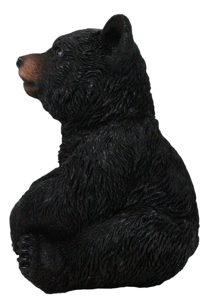 Ebros Gift Rustic Western Forest Wonders Sitting Baby Black Bear Cub Whimsical Figurine