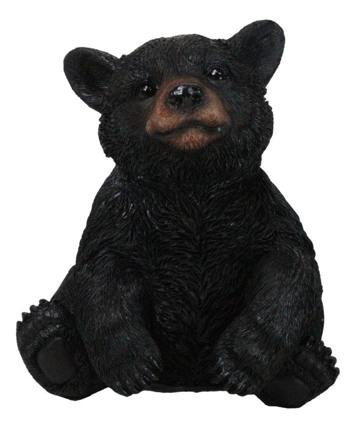 ebros gift Rustic Western Forest Wonders Sitting Baby Black Bear Cub Whimsical Figurine