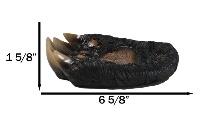 Ebros Gift Rustic Western Long Claws Bear Paw Jewelry Trinket Keys Tray Dish Plate Figurine