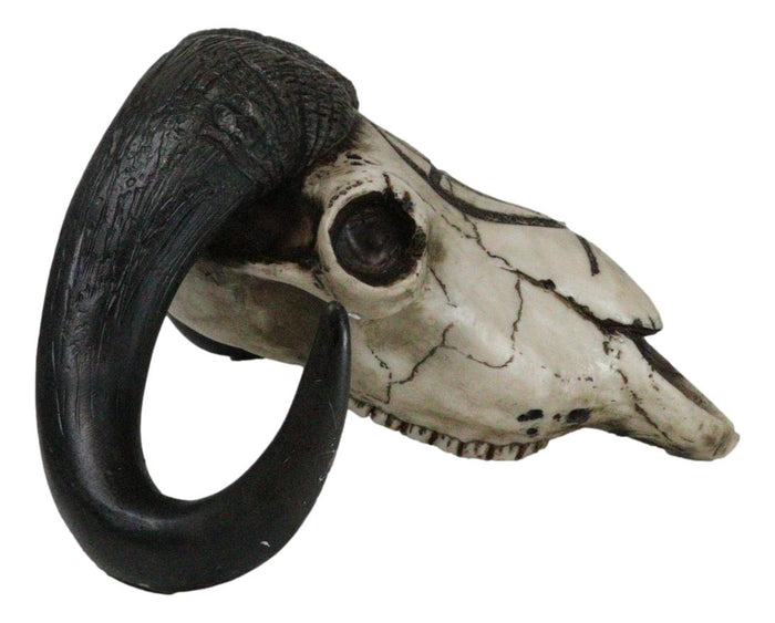 Ebros Gift Rustic Western Musk Ox Cattle Bull Skull With Christian Ichthys Symbol Figurine