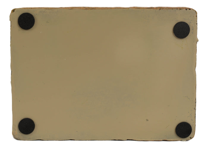 Ebros Gift Rustic Western Mustang Horse Pine Trees Silhouette Bar Soap Dish Holder Figurine