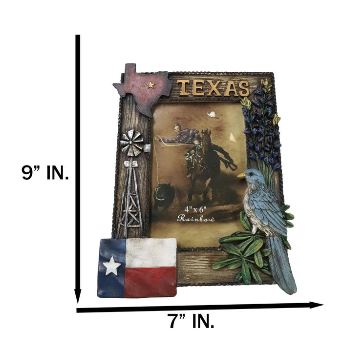 Ebros Gift Rustic Western Patriotic Texas Mockingbird Windmill Bluebonnets Picture Frame