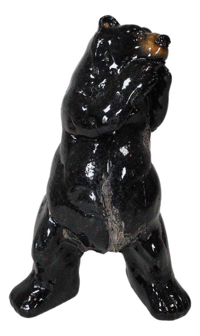 Ebros Gift Rustic Western Woodlands Forest Black Bear South Paw Boxing Decorative Figurine