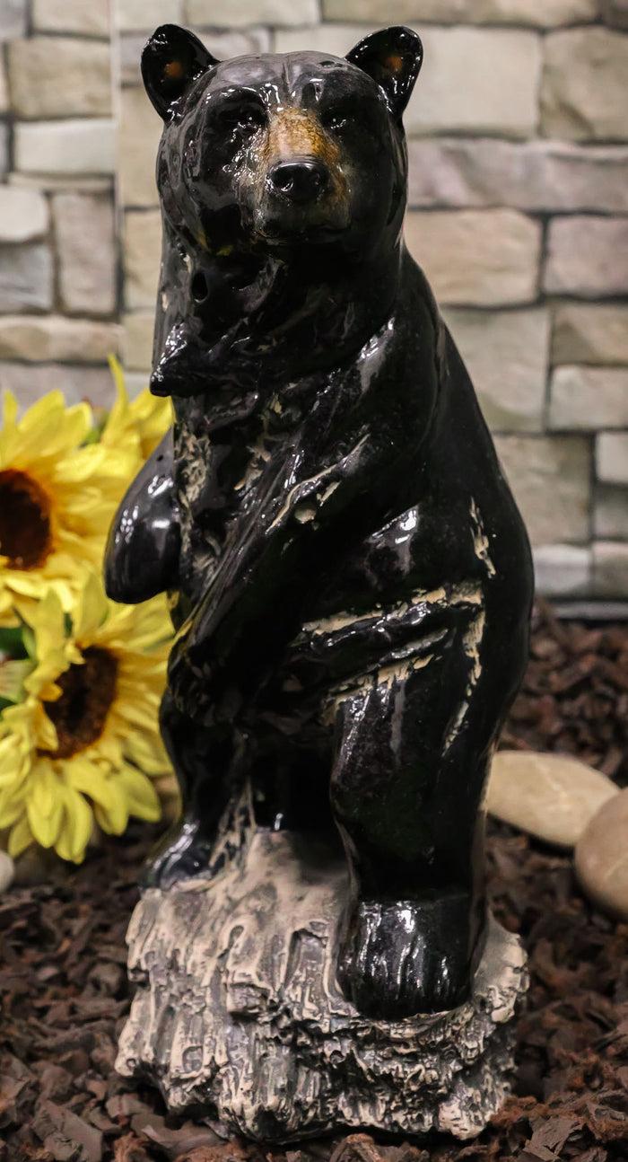 ebros gift Rustic Western Woodlands Forest Black Bear Standing On Rock Figurine Decor