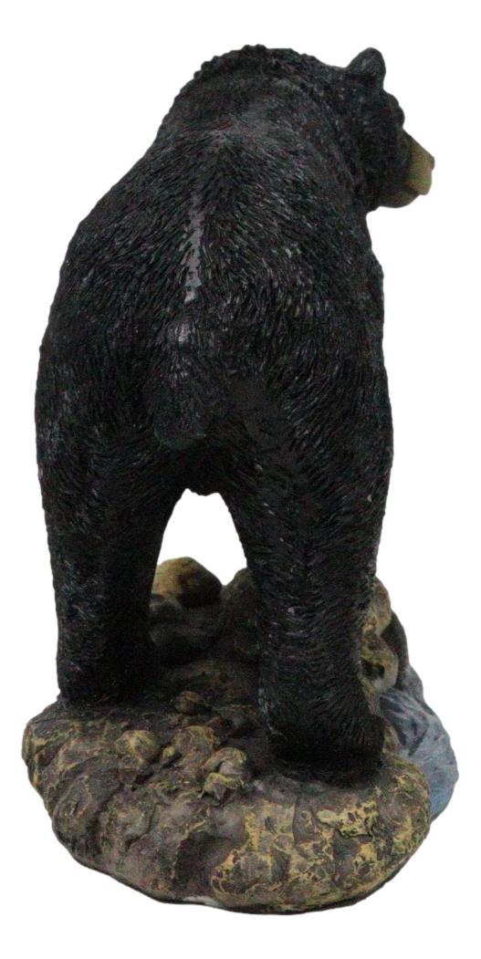 Ebros Gift Rustic Wildlife Forest Black Bear Fishing By Rocky River Bank Figurine Decor
