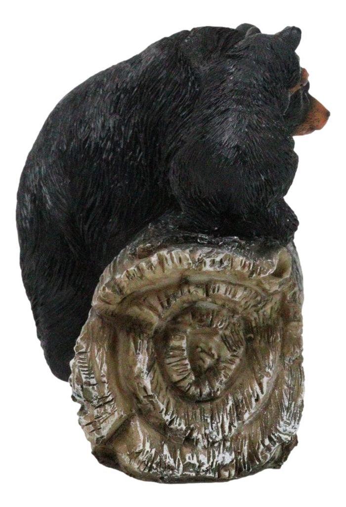 Ebros Gift Rustic Wildlife Forest Black Bear Fishing By Rocky River Bank Figurine