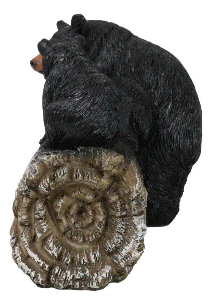 Ebros Gift Rustic Wildlife Forest Black Bear Fishing By Rocky River Bank Figurine