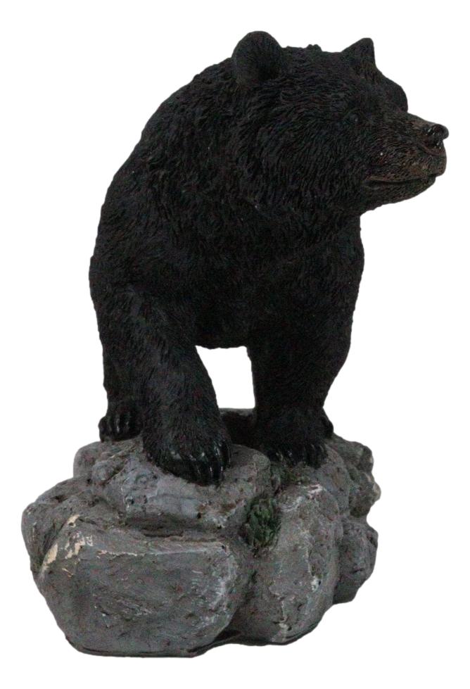 Ebros Gift Rustic Wildlife Forest Black Bear Walking On River Rock Steppes Figurine