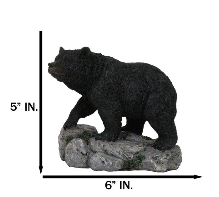 Ebros Gift Rustic Wildlife Forest Black Bear Walking On River Rock Steppes Figurine