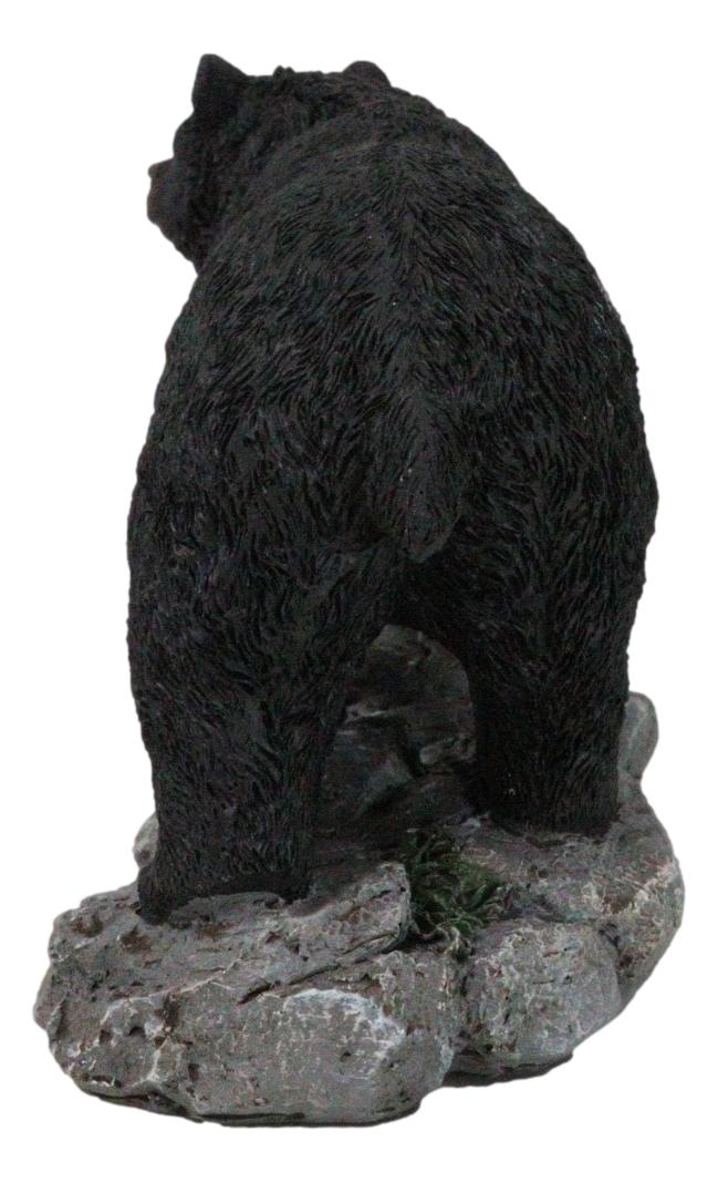 Ebros Gift Rustic Wildlife Forest Black Bear Walking On River Rock Steppes Figurine