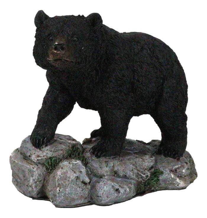 ebros gift Rustic Wildlife Forest Black Bear Walking On River Rock Steppes Figurine