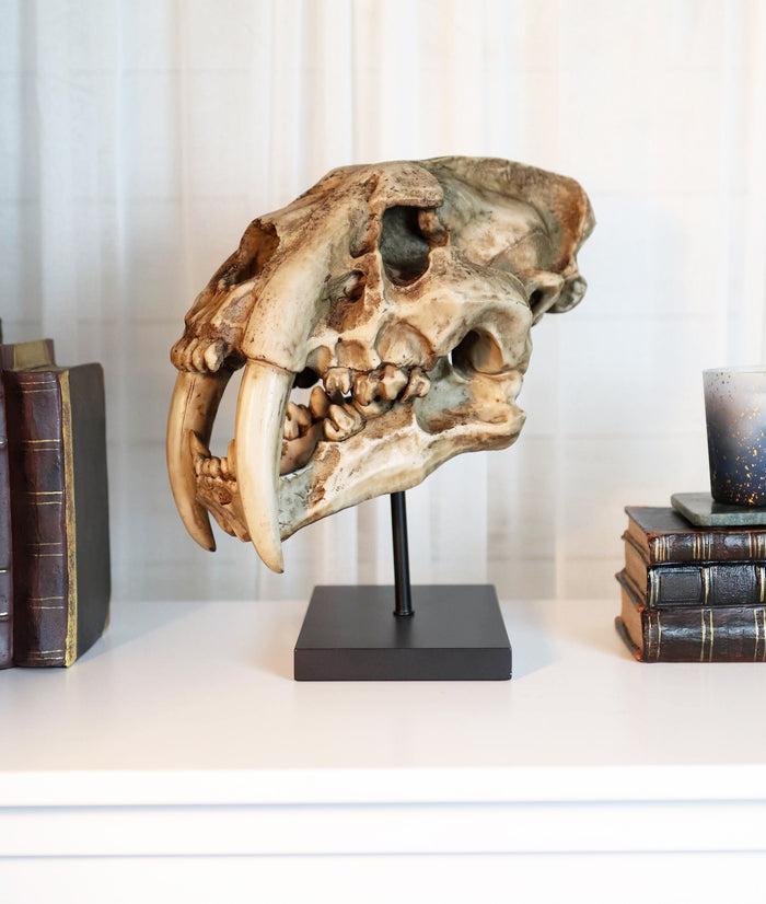 ebros gift Sabertooth Tiger Cat Fossil Skull Skeleton Replica Statue With Museum Pole Mount