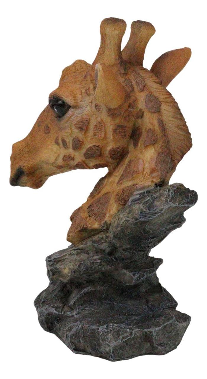 Ebros Gift Safari African Savannah Masai Giraffe Head Bust On Rock Steppe Figurine